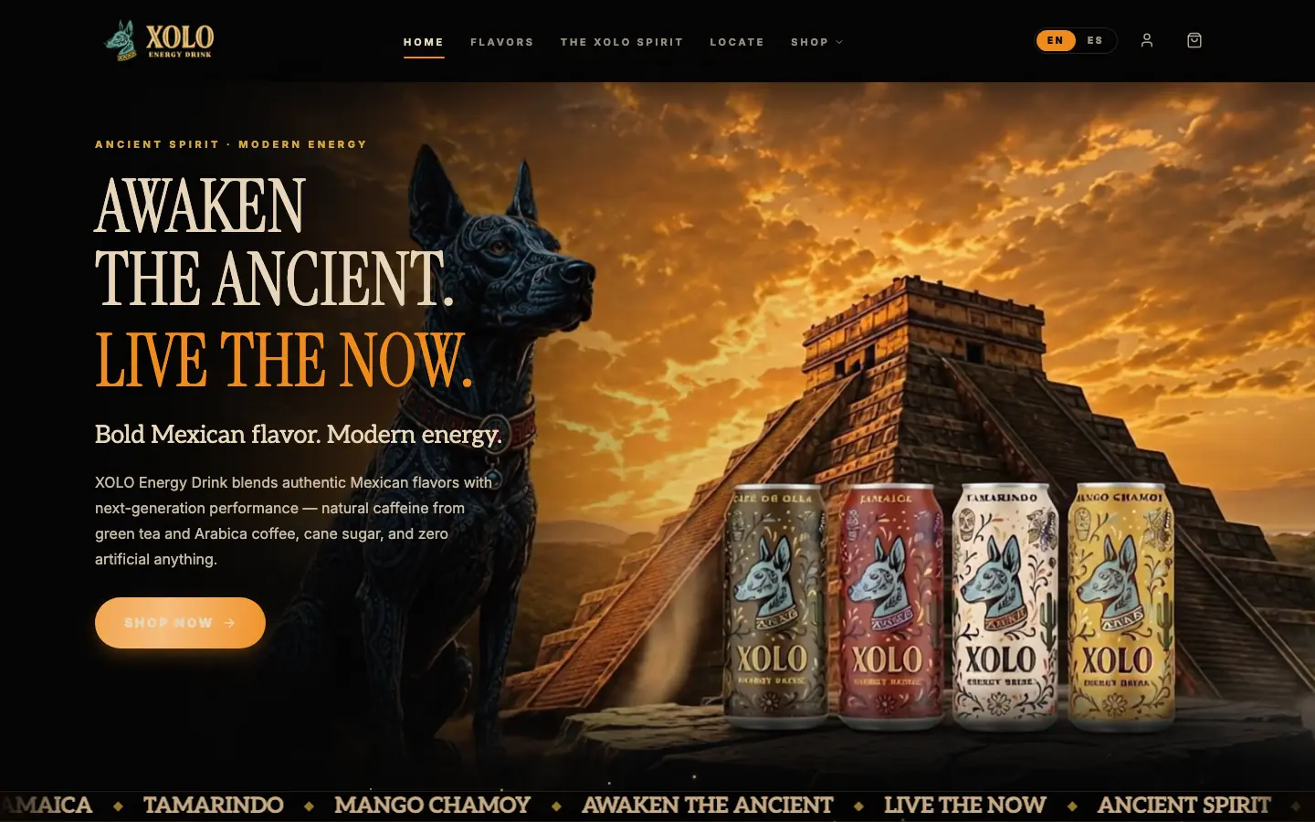 Screenshot of Energy by XOLO homepage with headline Awaken the Ancient. Live the Now — brand launch website built by Lucen Studios.